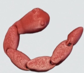 Small Snake Fidget
